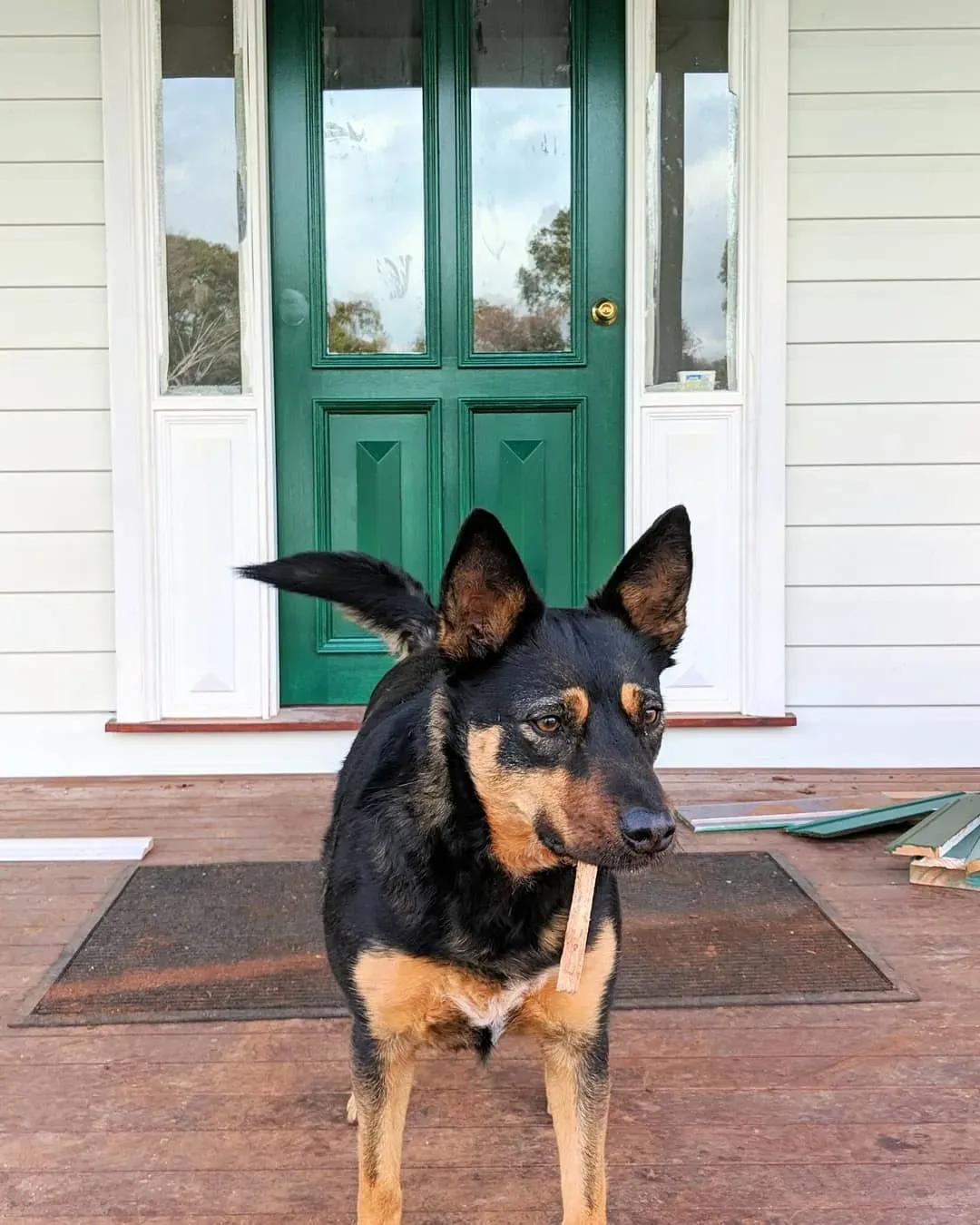 Dulux Highland Green front door review