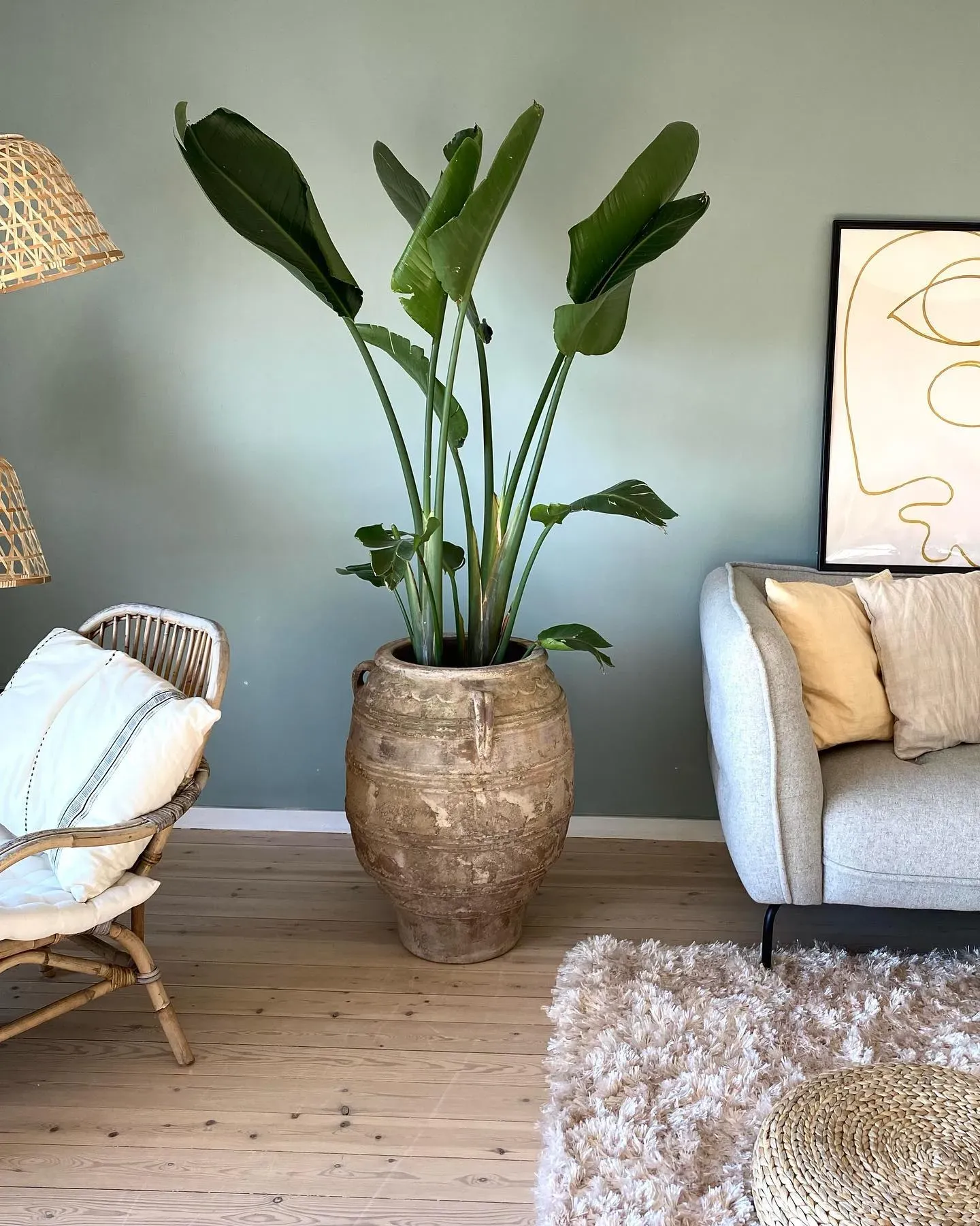 Jotun Iconic living room color review