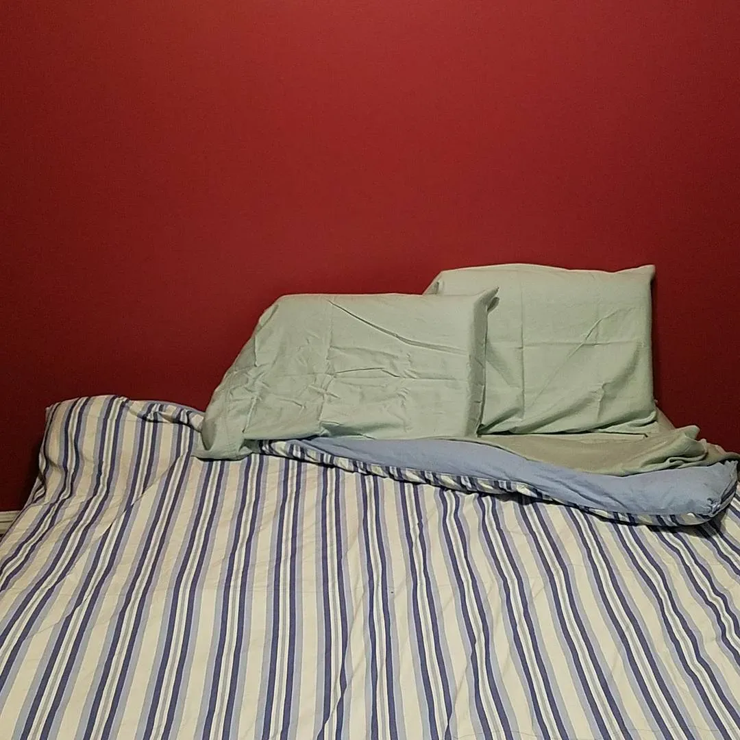 Sherwin Williams Kirsch Red bedroom paint