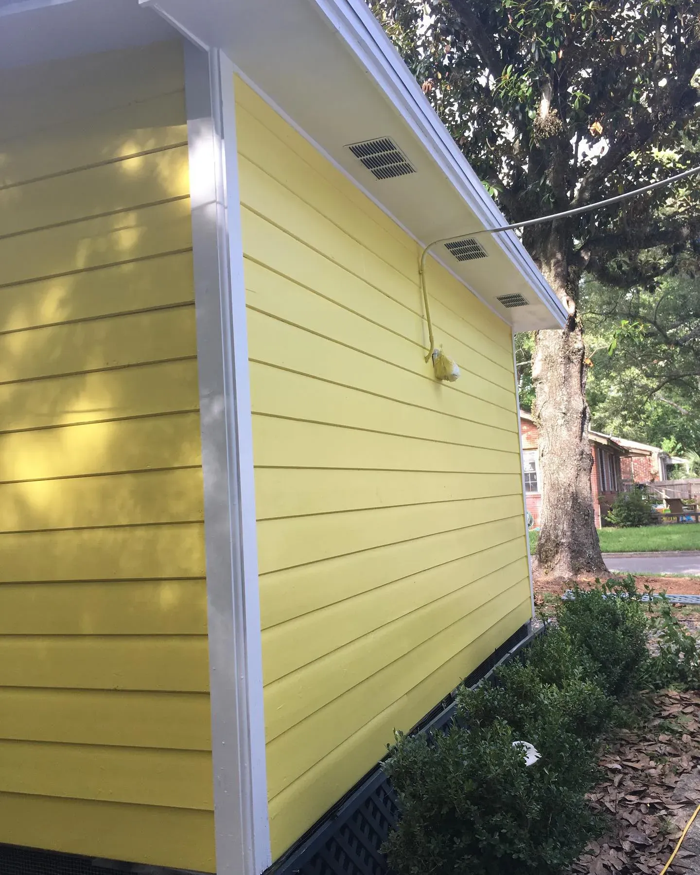 Sherwin Williams Lemon Twist exterior paint review