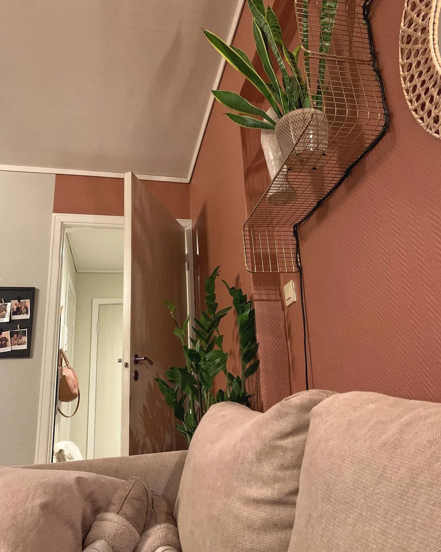 Lively Red living room picture