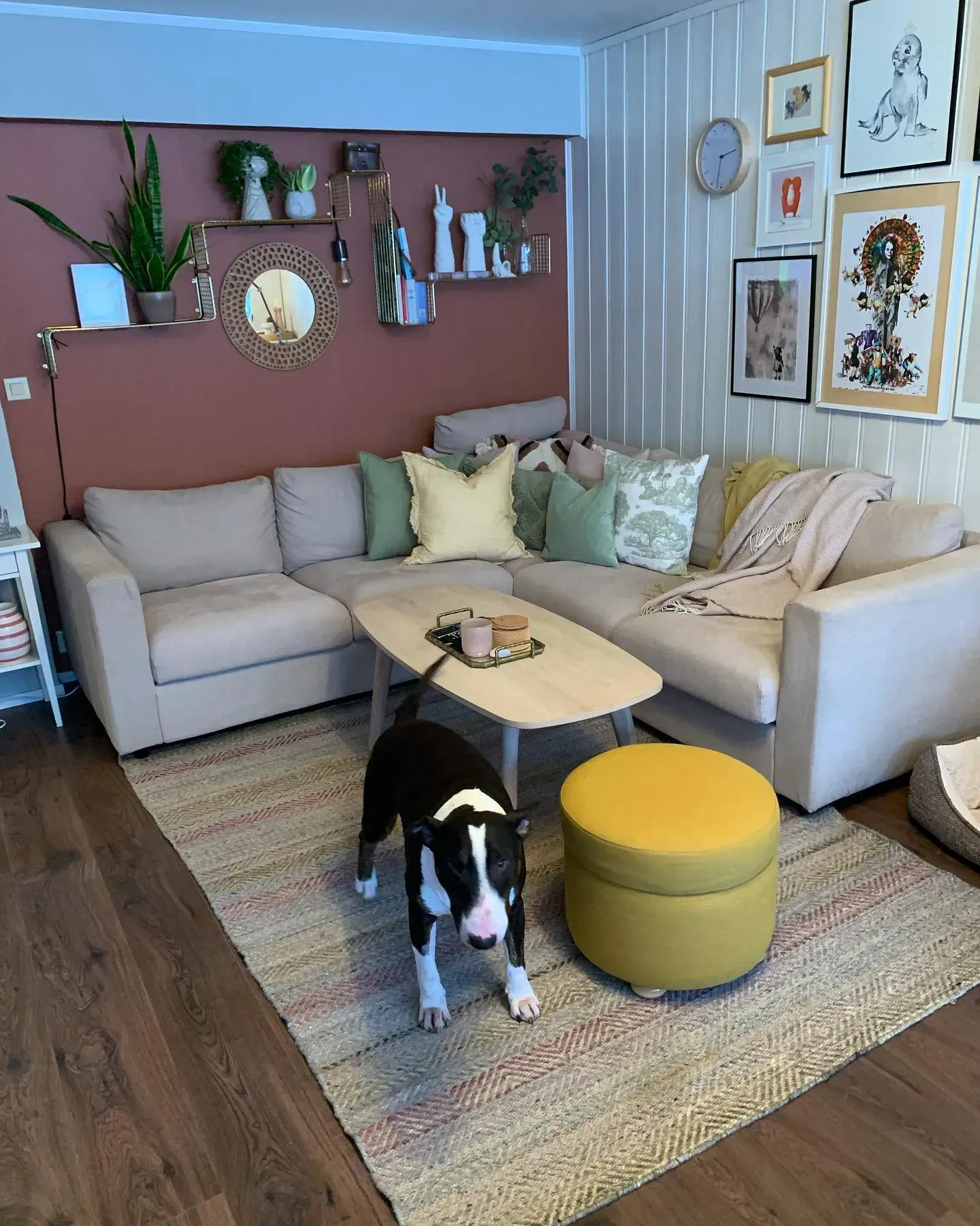 Lively Red living room photo