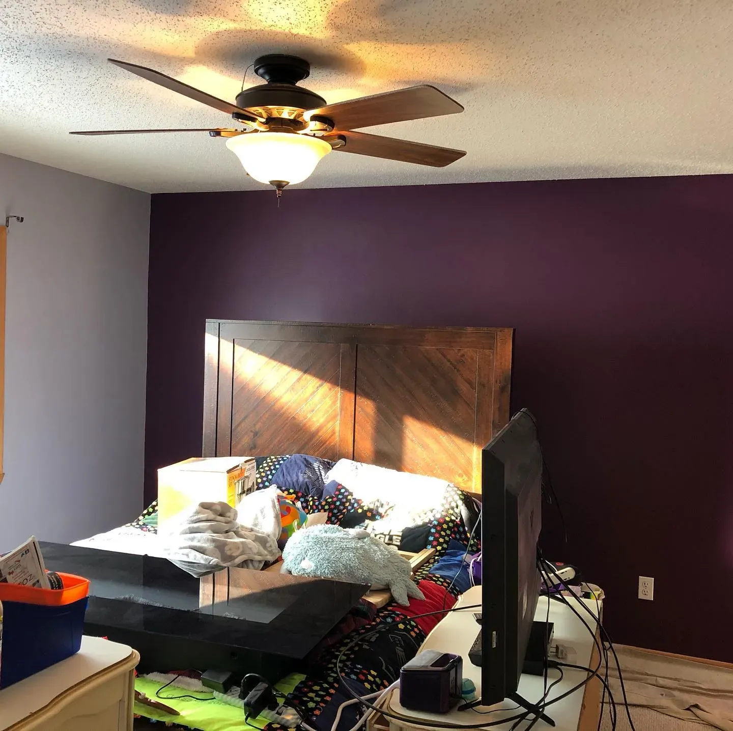 SW Mature Grape bedroom accent wall photo