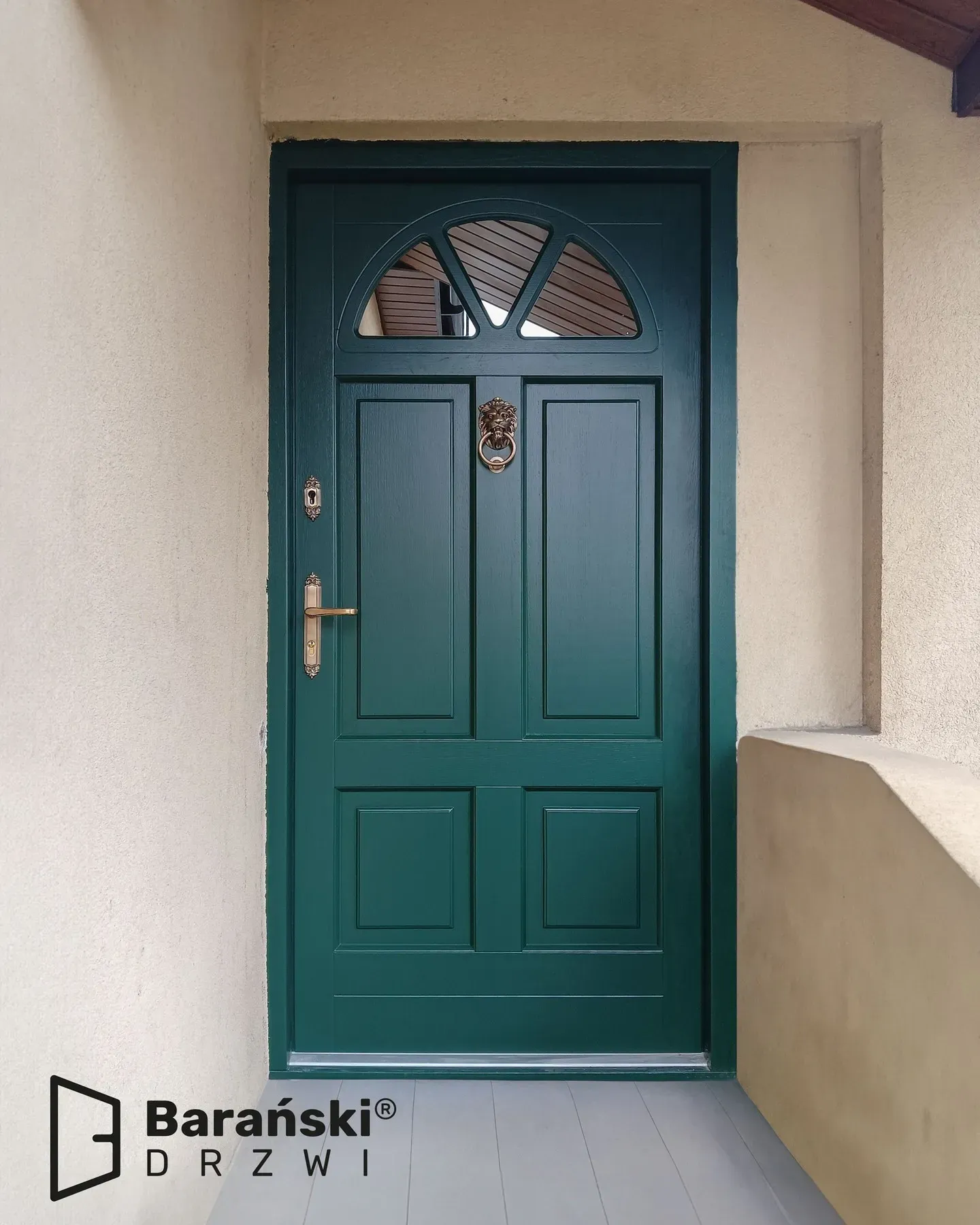 RAL 6005 front door review