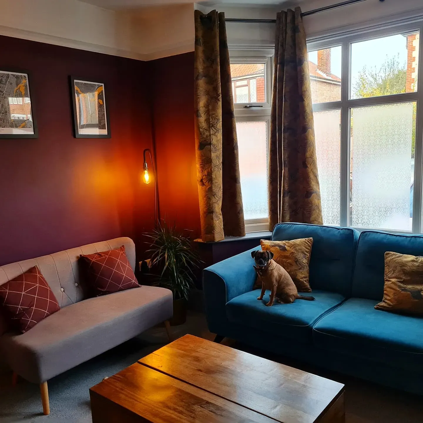 Dulux Mulberry Burst living room interior