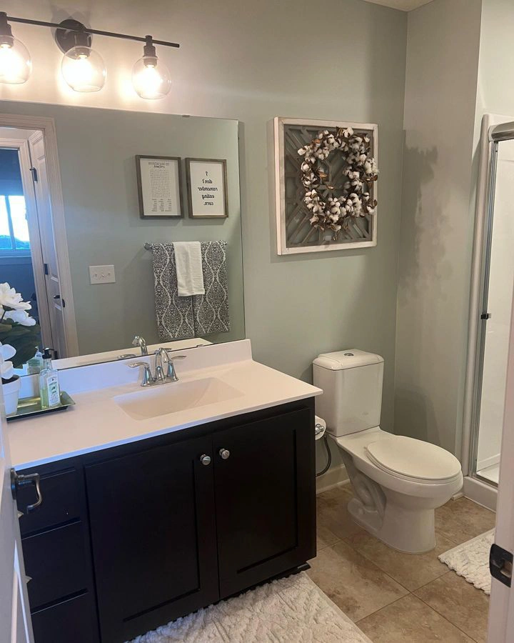 Sherwin williams pearl gray bathroom