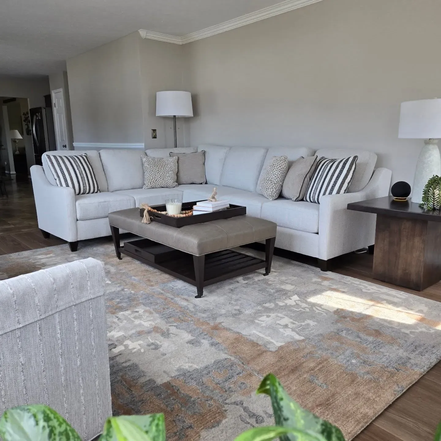 SW Popular Gray living room color review