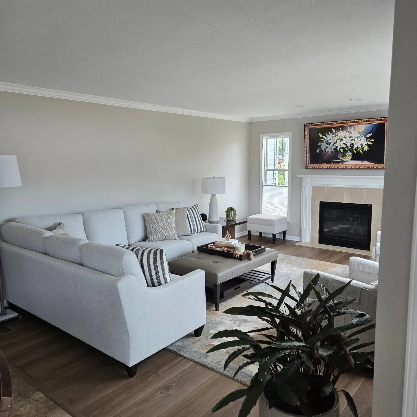 SW Popular Gray living room color