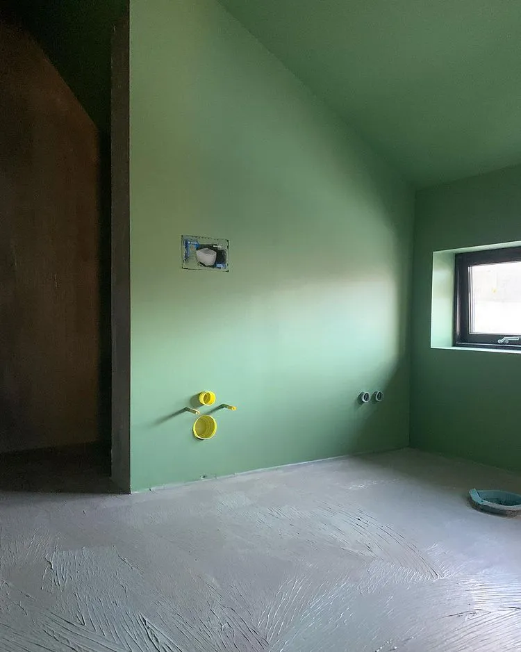 Home renovation wall paint RAL6021 review