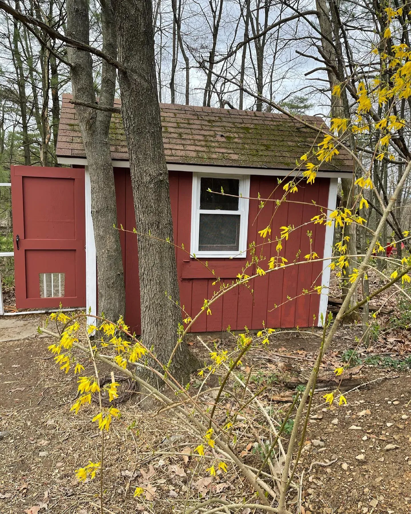 SW Red Barn exterior color review