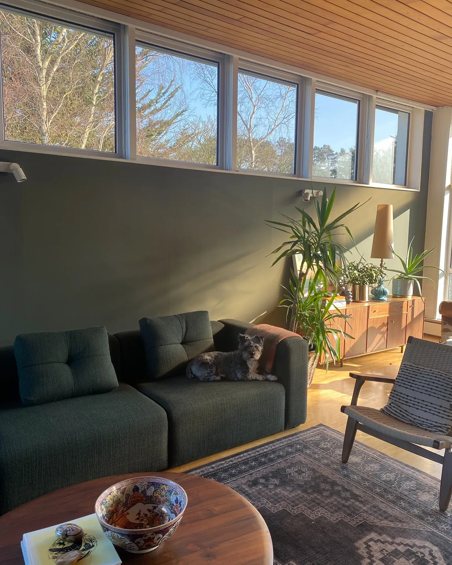 Reduced Green living room paint review