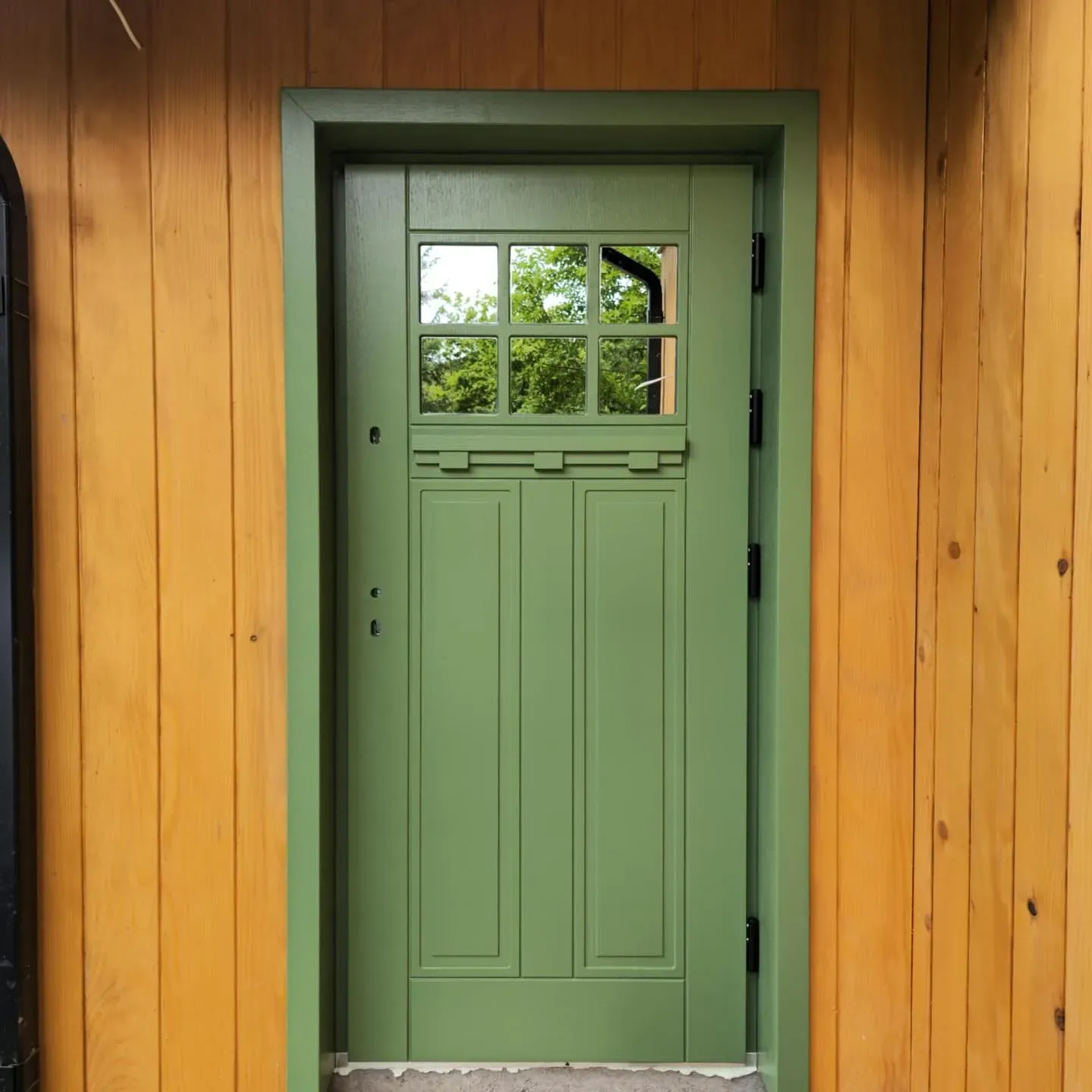RAL 6011 front door review