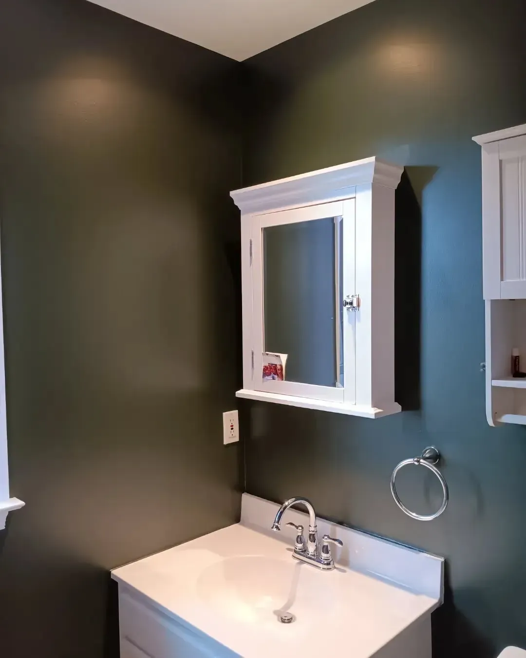 SW 6209 bathroom paint