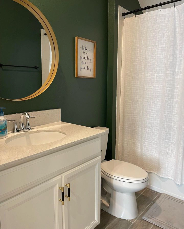 Sw 6195 Bathroom