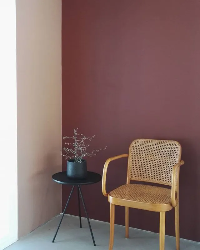 Interior with paint color Tikkurila Rooibos M476