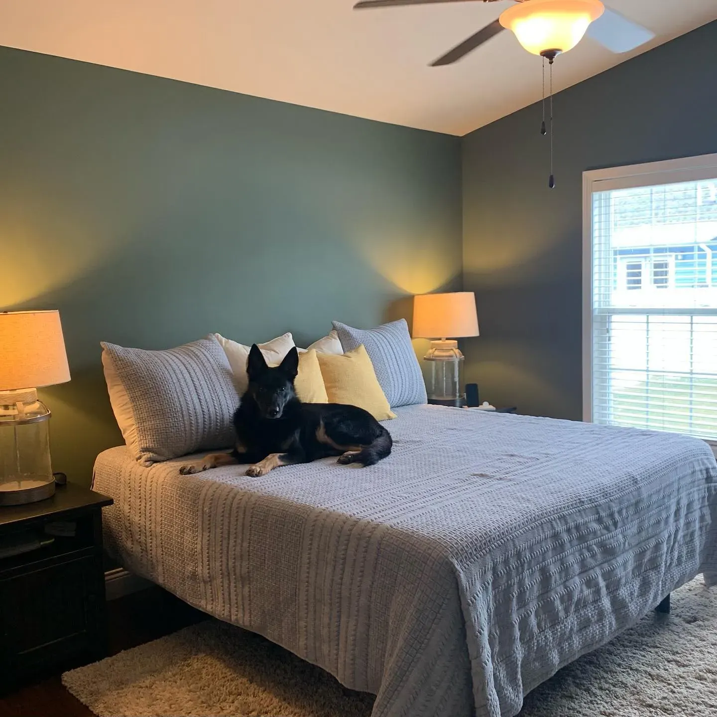 Sherwin Williams Rosemary bedroom makeover