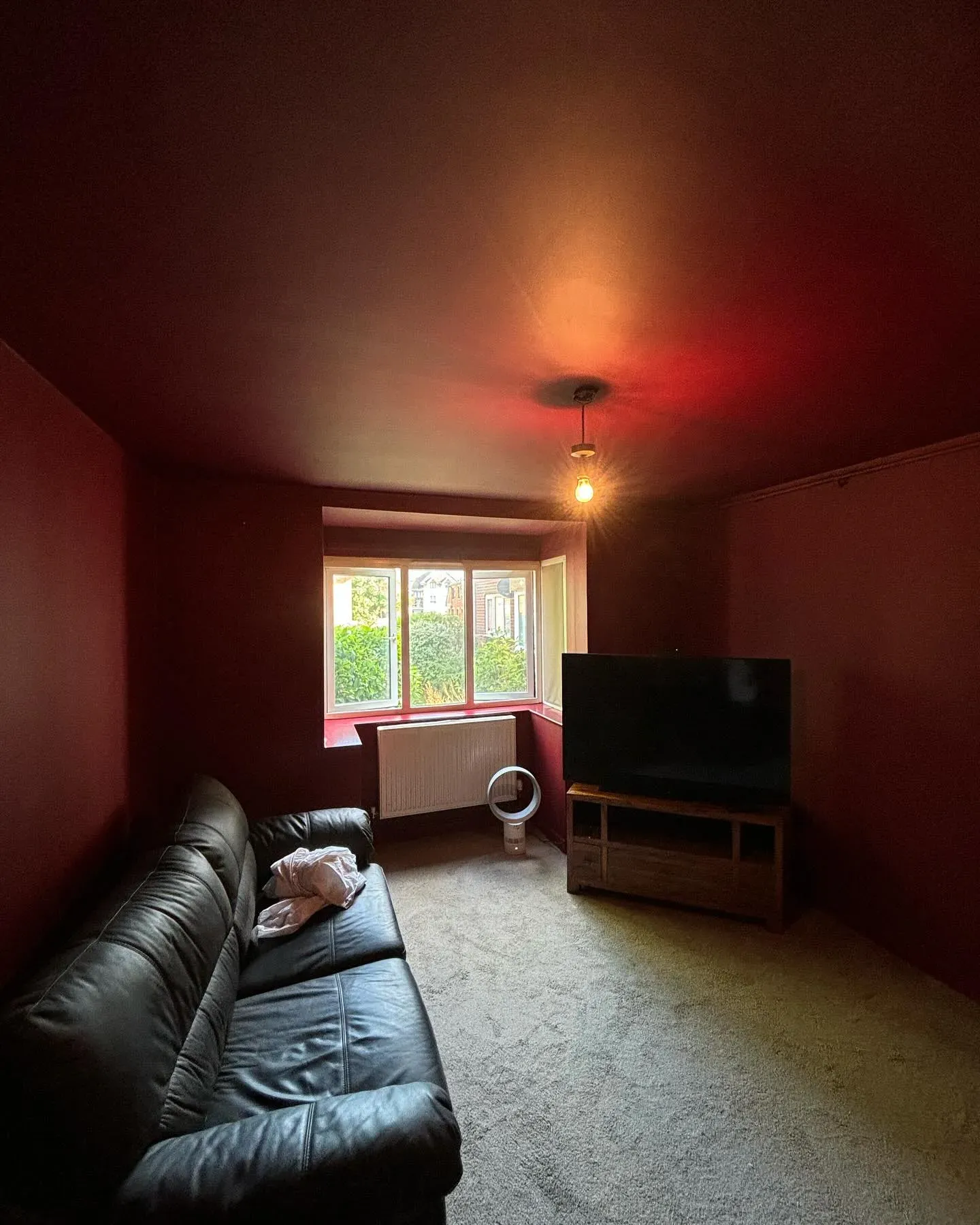 Dulux Ruby Starlet living room color review