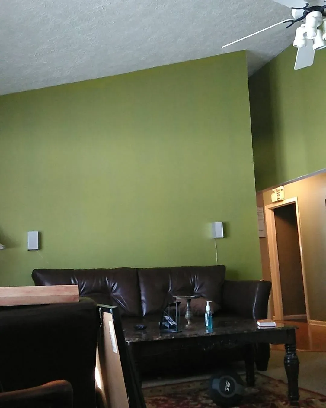 Sherwin Williams Rural Green living room interior