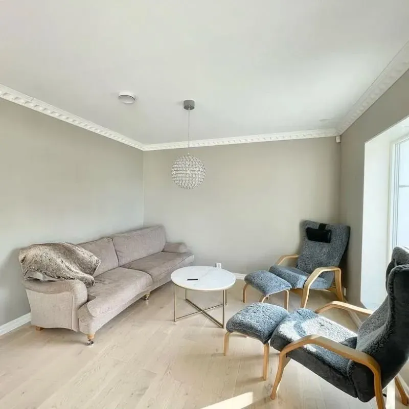 NCS S 1502-Y living room interior