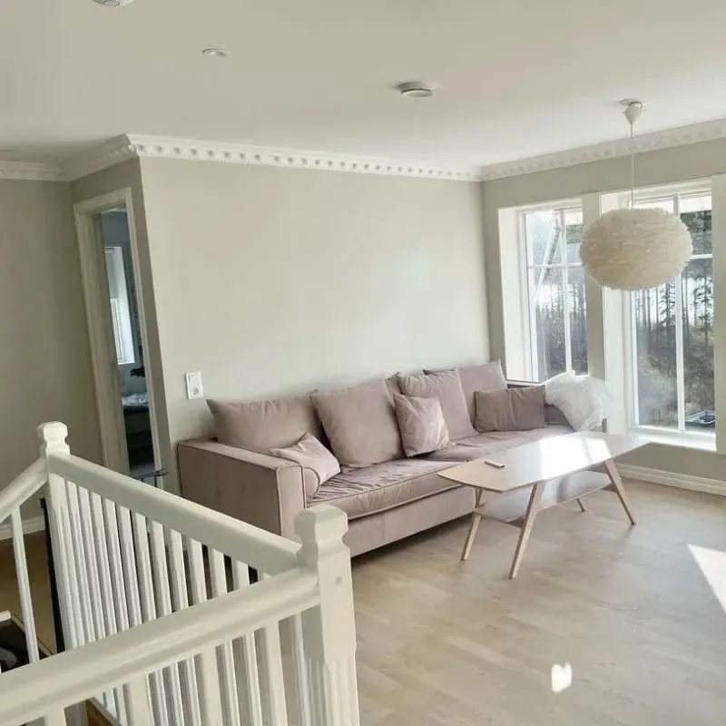 NCS S 1502-Y living room review