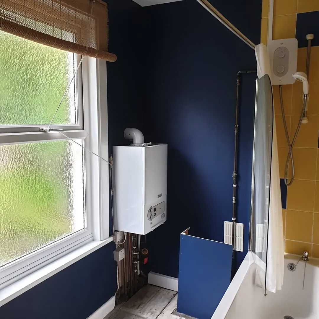 Sapphire Springs 1 bathroom makeover