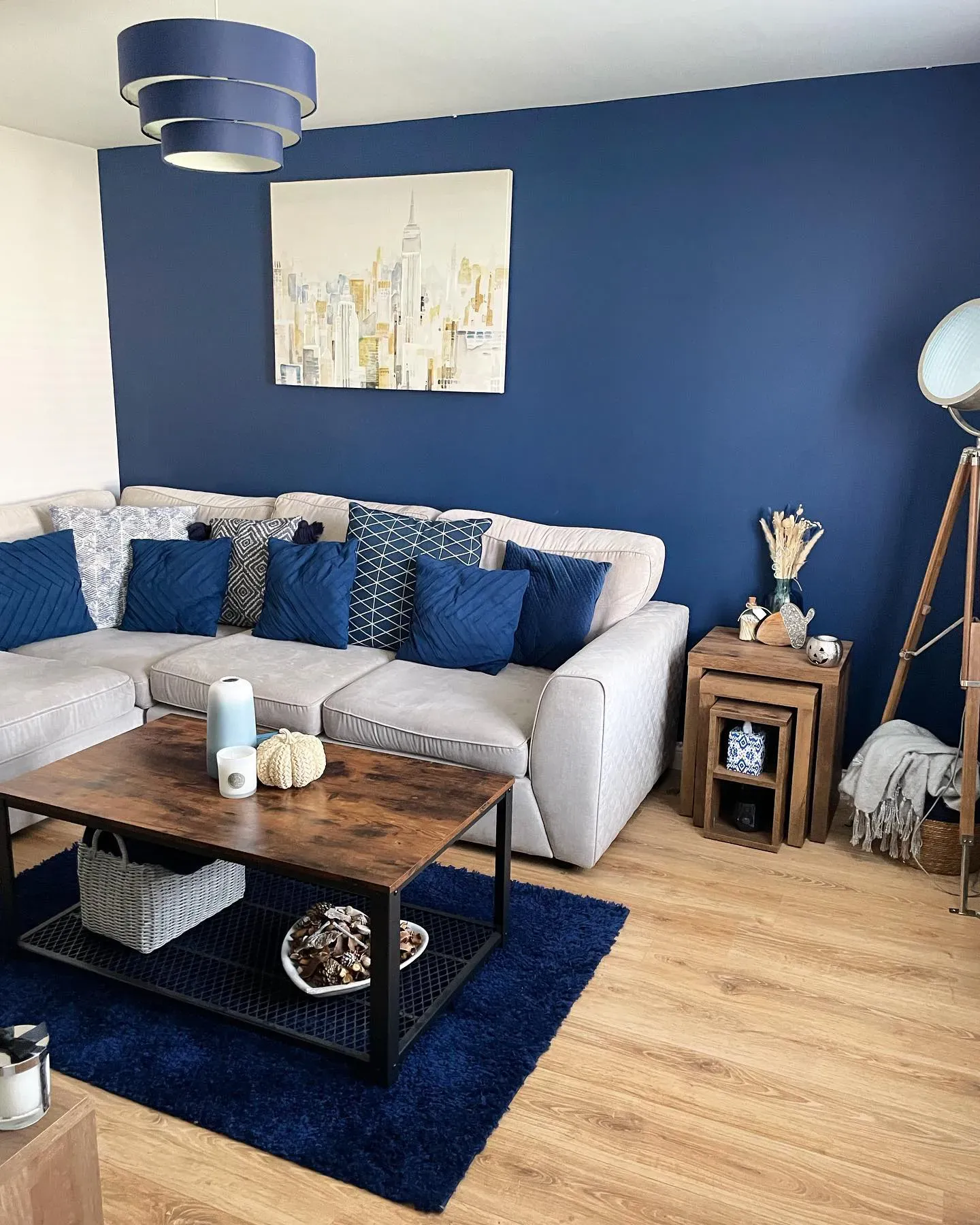 Dulux Sapphire Salute 50BB 08/171 living room accent wall