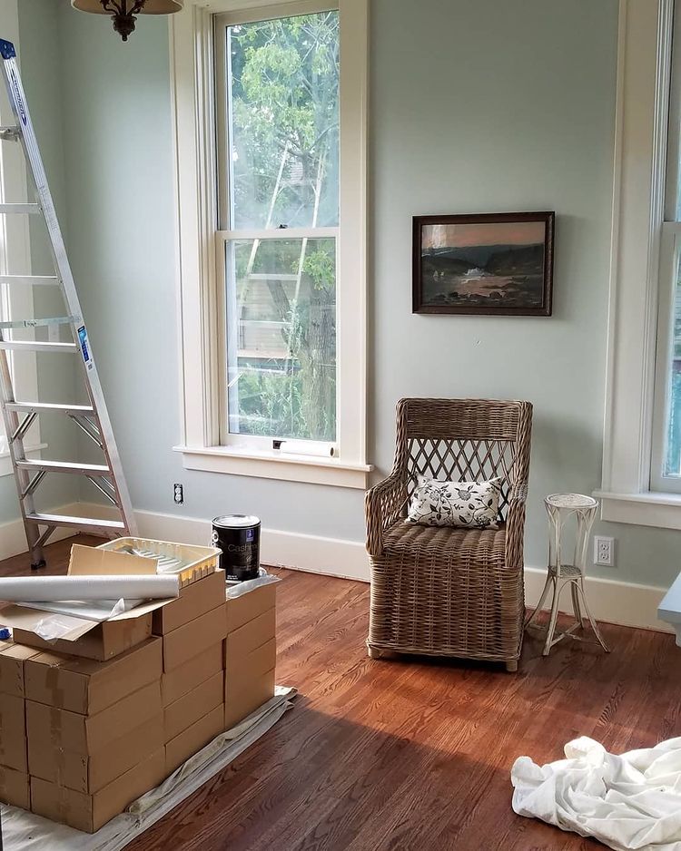 Sea Salt paint by Sherwin Williams living room