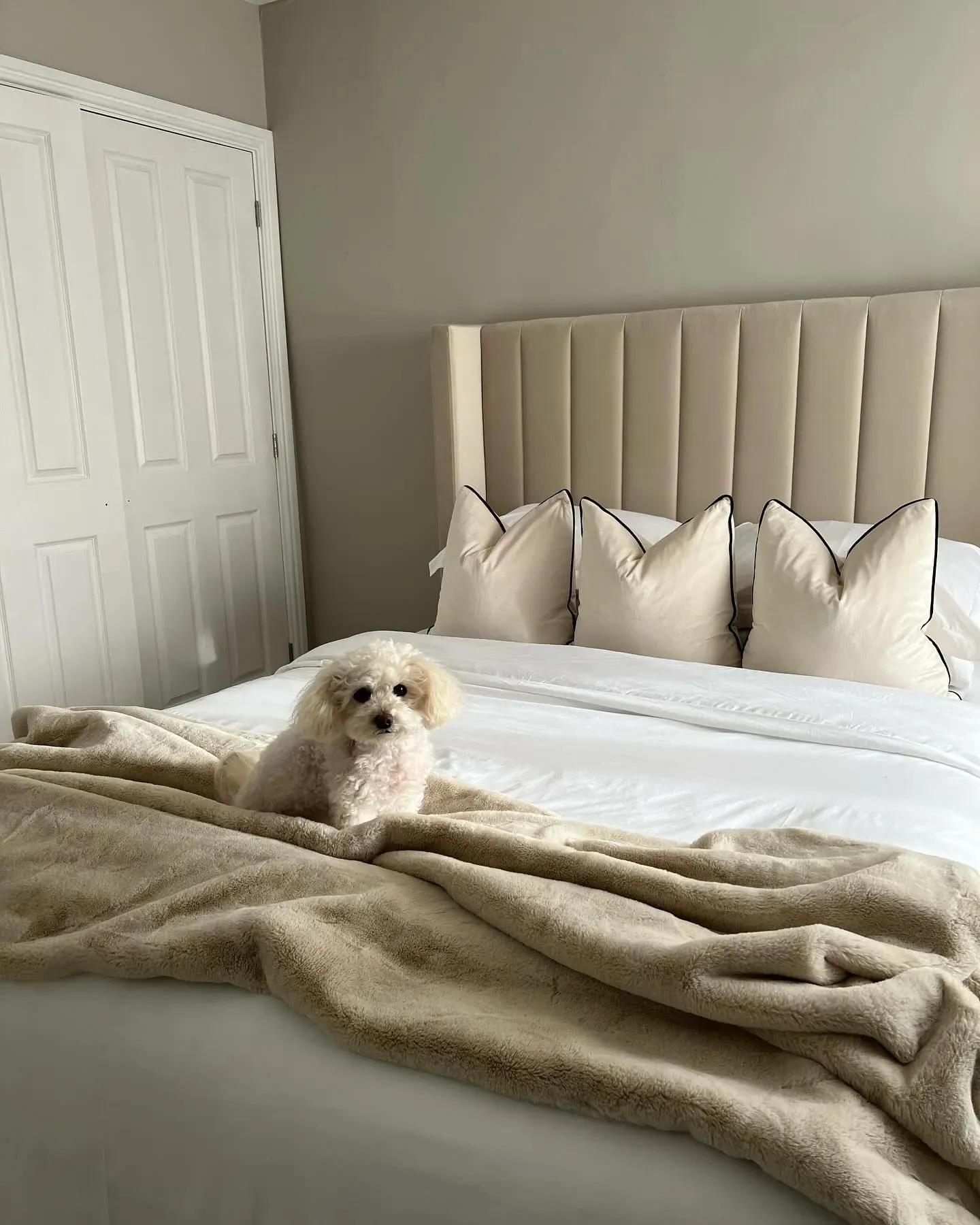 Dulux Knotted Twine bedroom color review