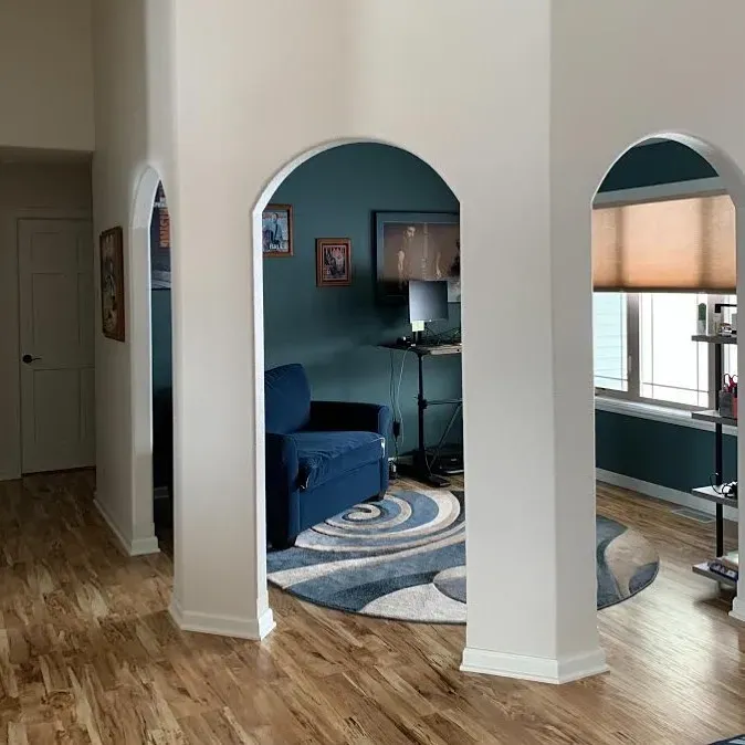 SW Shoji White modern living room color review