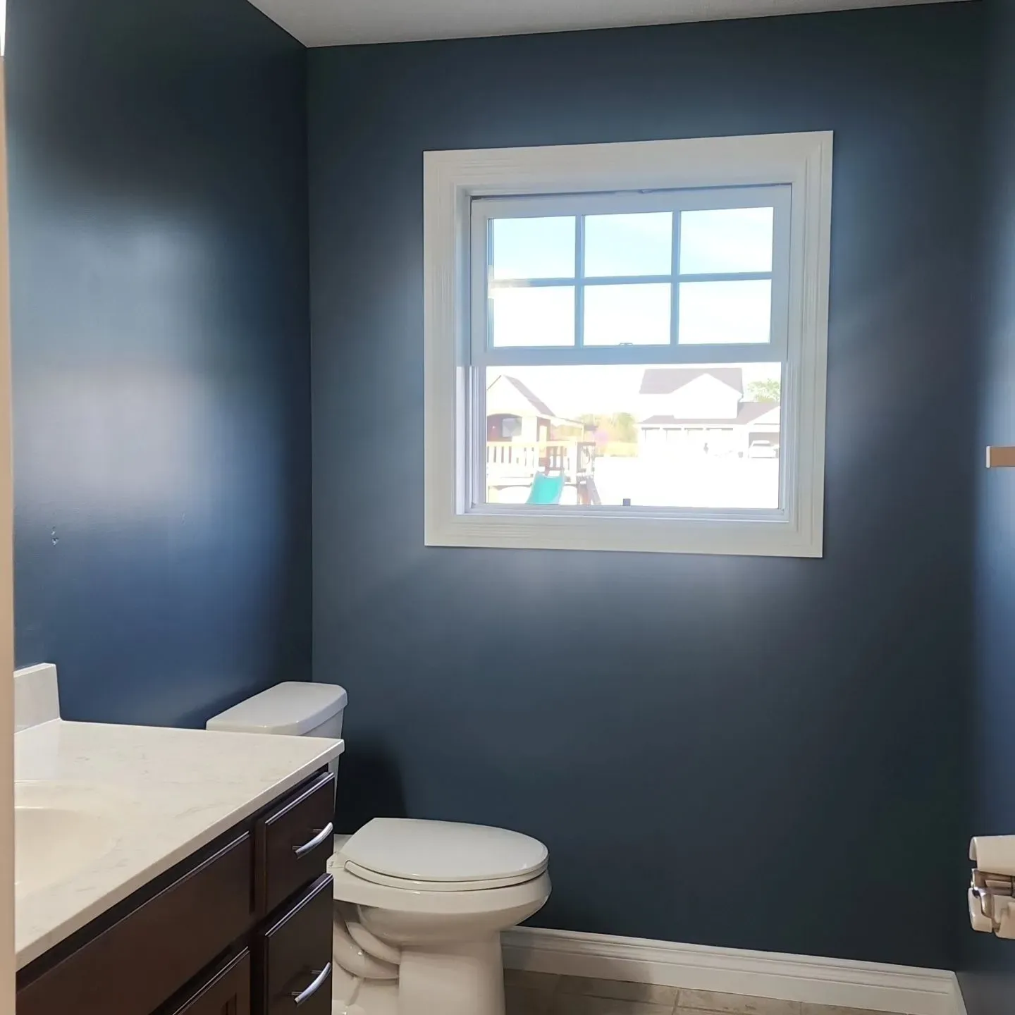 SW Smoky Blue bathroom color