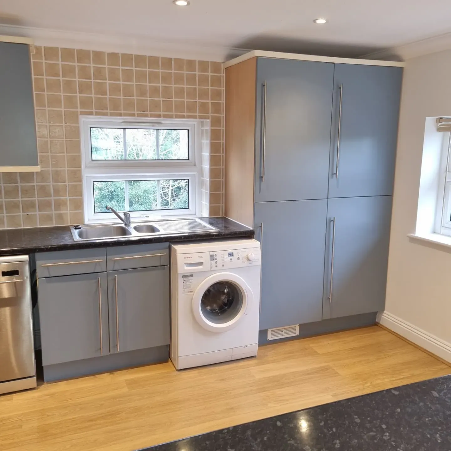 Steel Symphony 2 kitchen cabinets color review