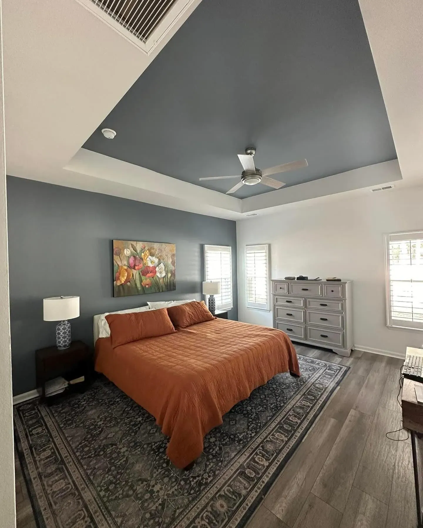 Sherwin Williams Storm Cloud bedroom color