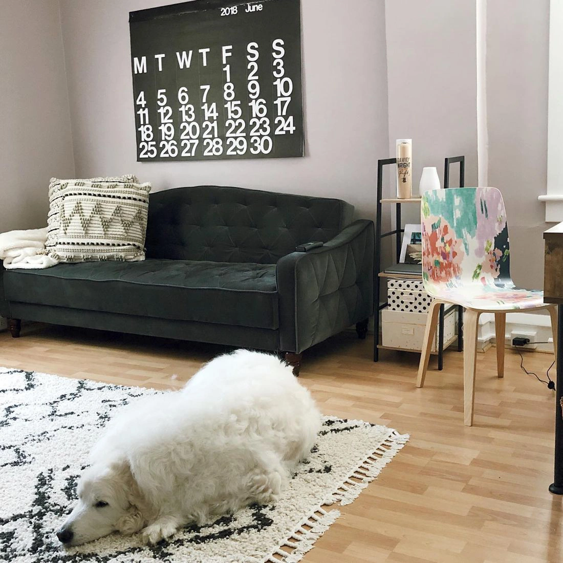 Studio mauve living room