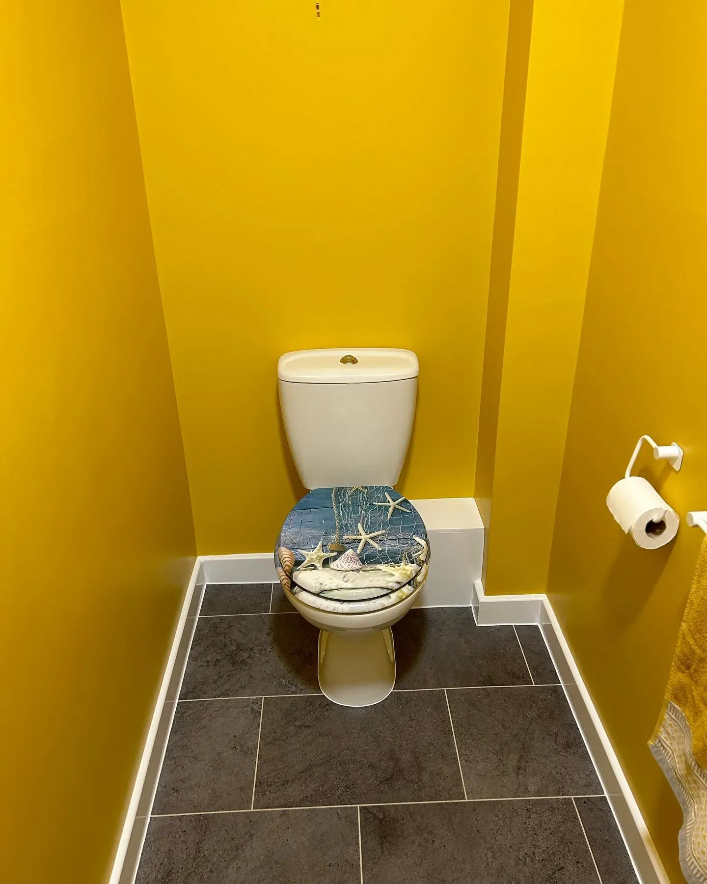 Dulux 30YY 49/562 bathroom paint