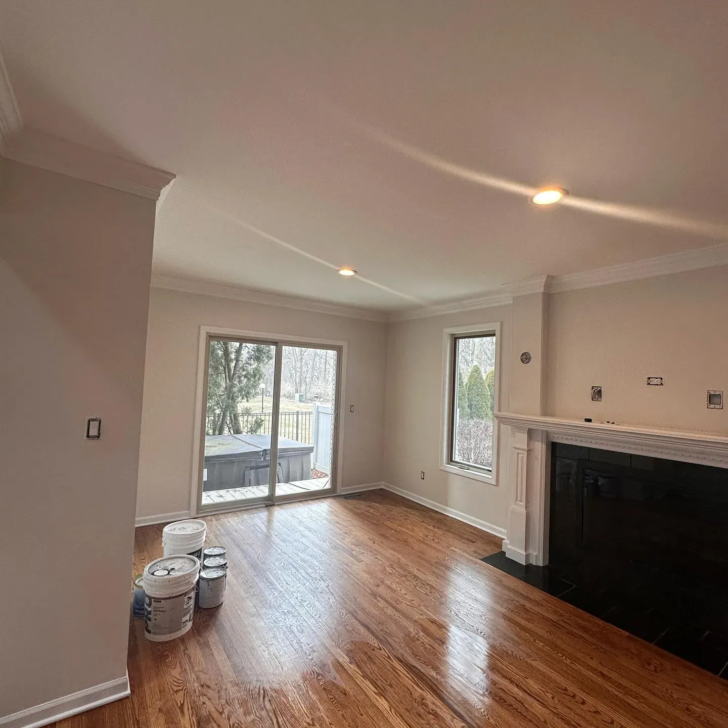 SW Sunbleached living room color