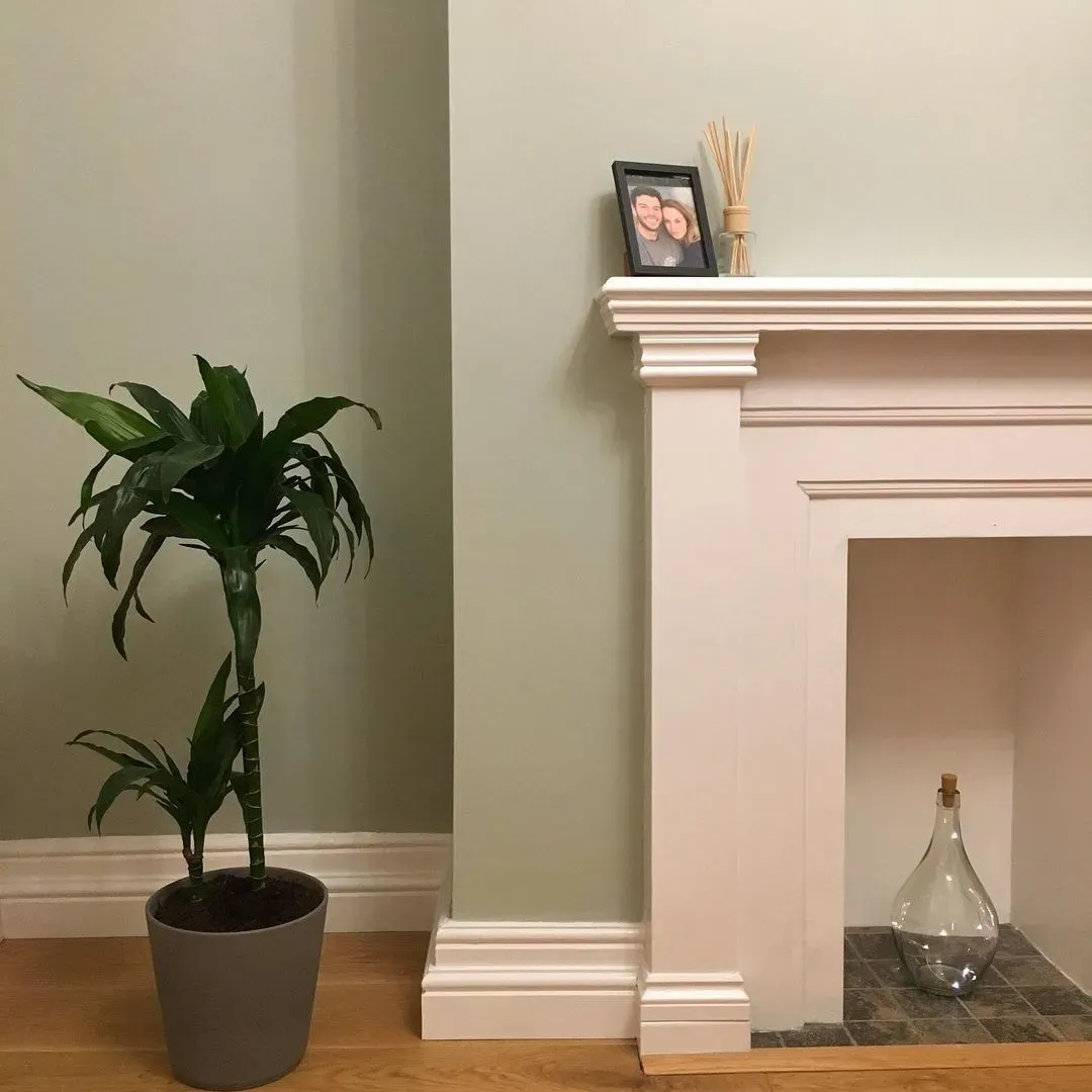 Dulux 45GY 55/052 living room fireplace color review