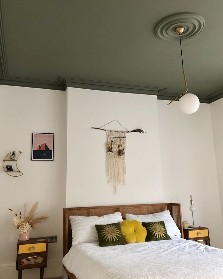 Sage green ceiling Treron 292 with white walls