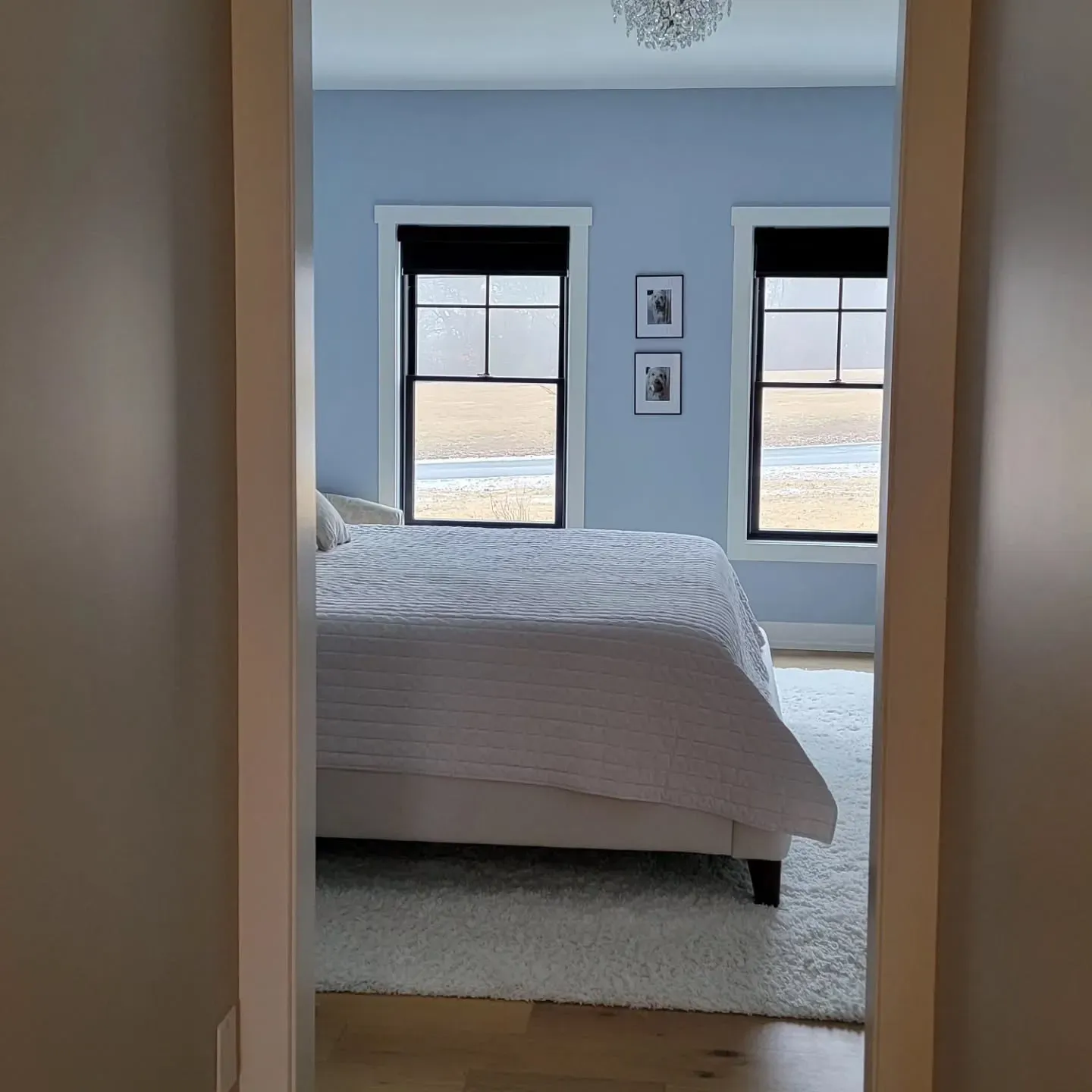 Sherwin Williams Upward bedroom 