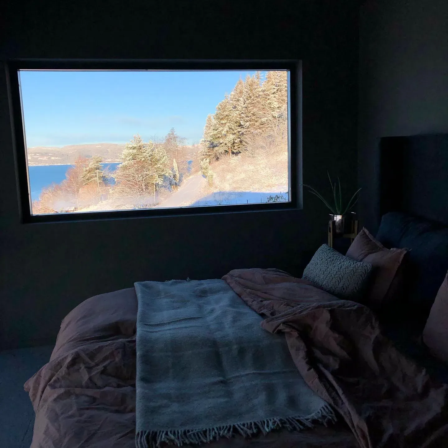 Jotun Sober bedroom paint review