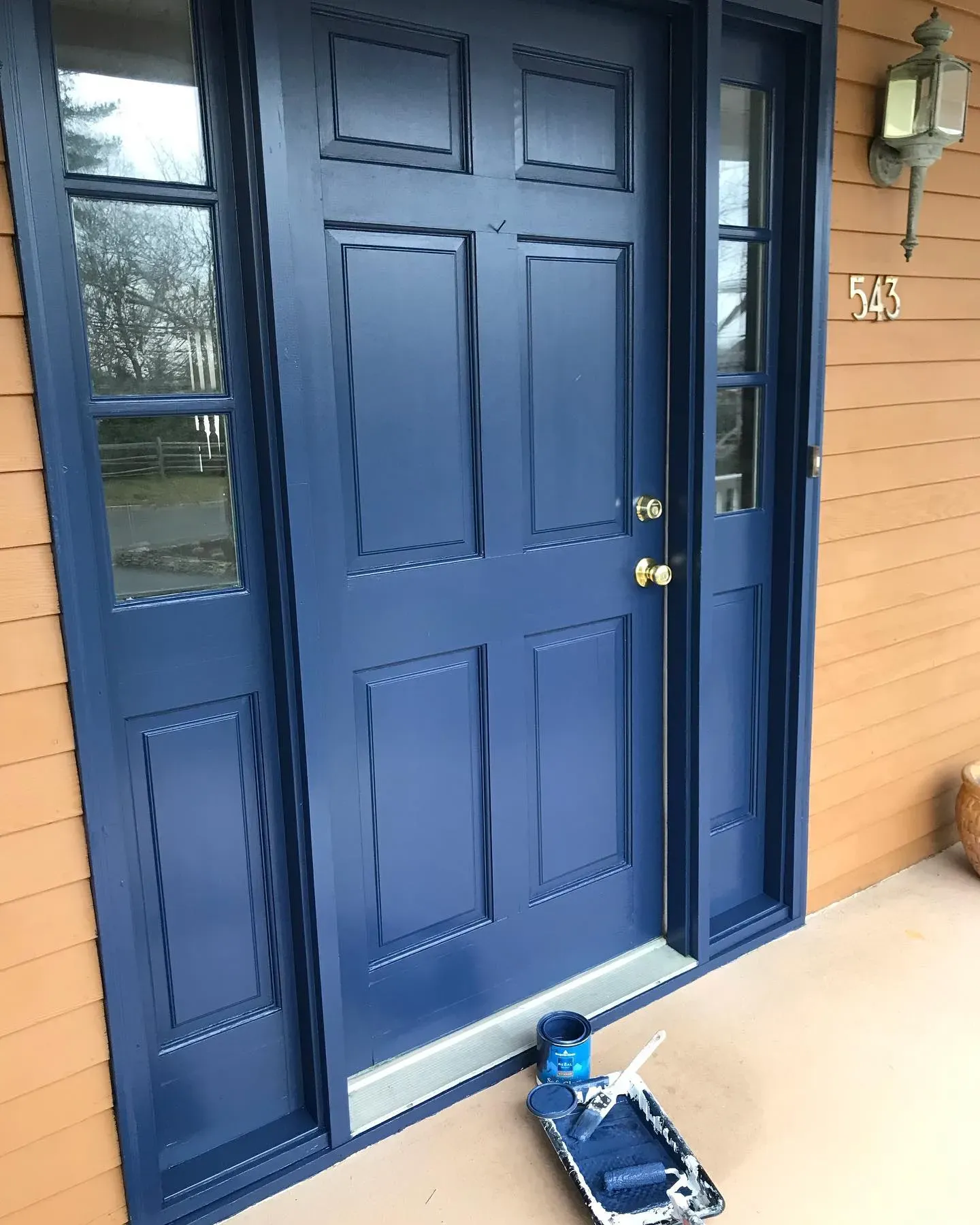 Behr Very Navy front door 