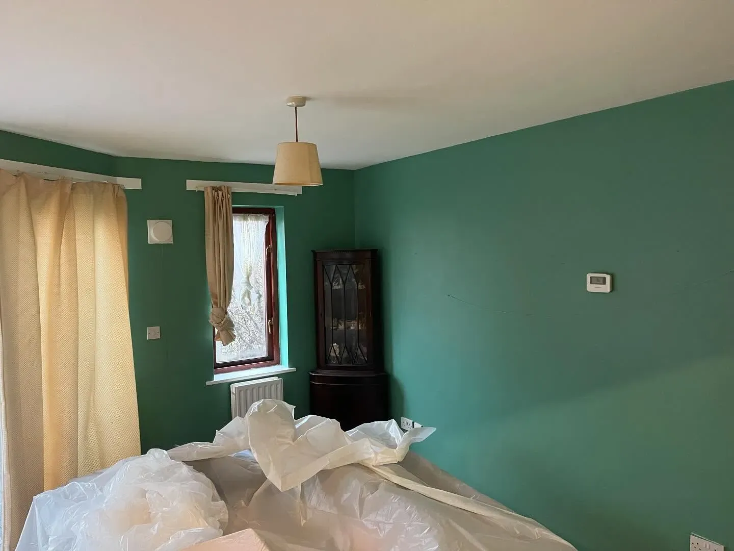 Dulux 10GG 33/166 living room paint