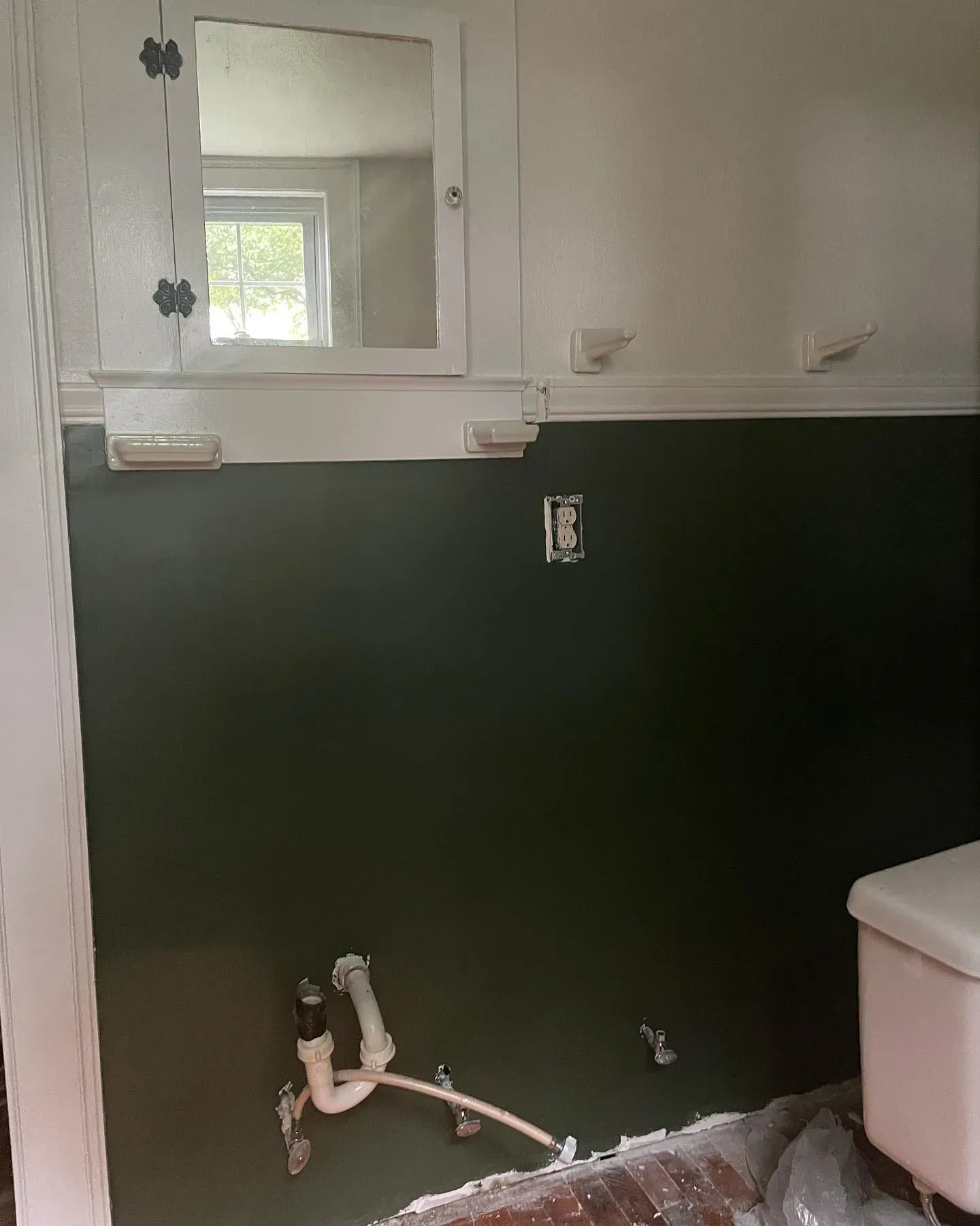 Sherwin Williams Vogue Green bathroom paint