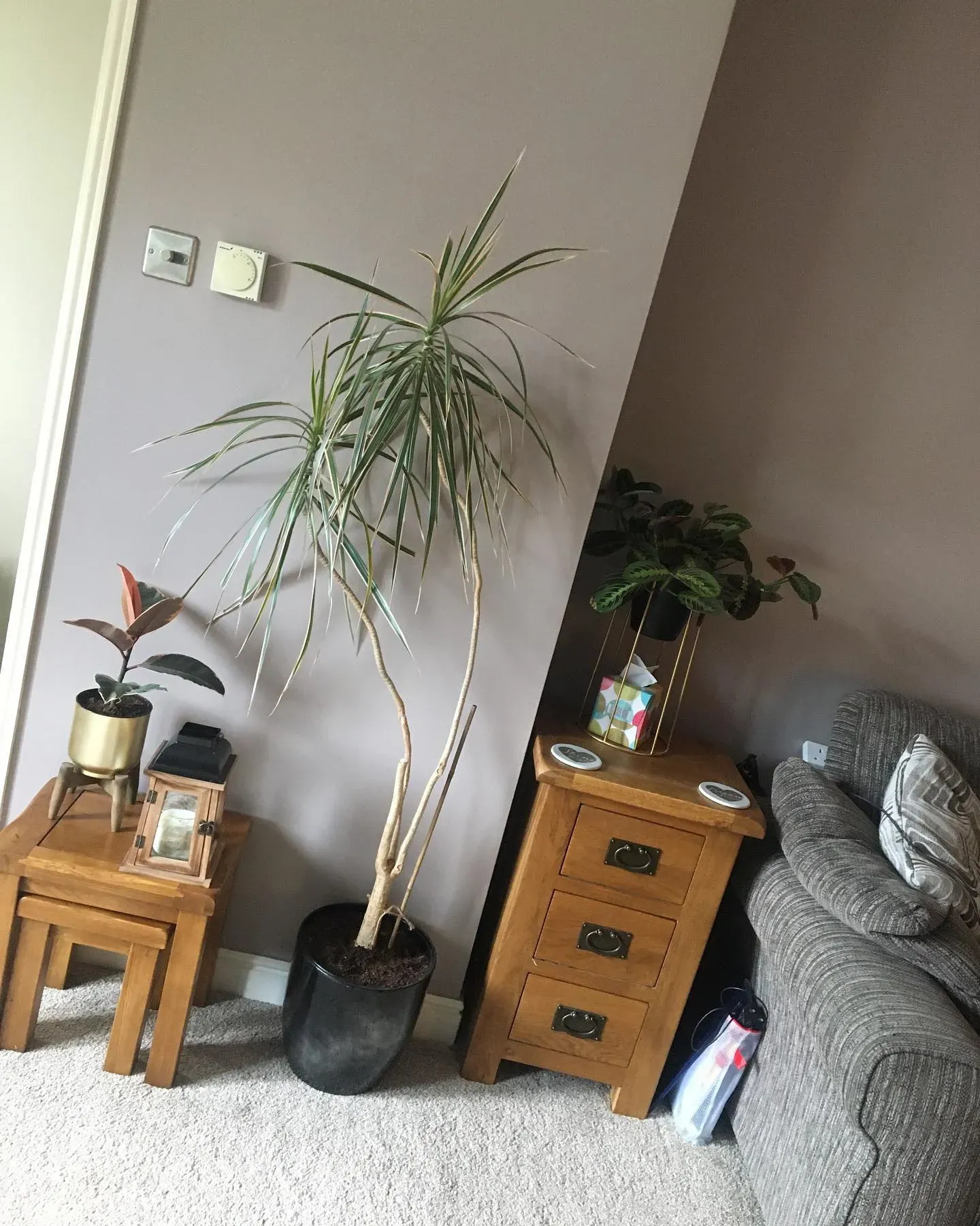 Dulux 10YY 46/041 living room paint