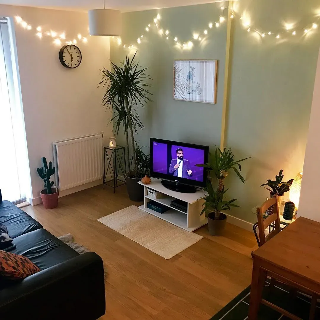 Dulux Willow Tree living room accent wall