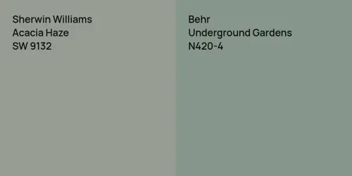 SW 9132 Acacia Haze vs N420-4 Underground Gardens