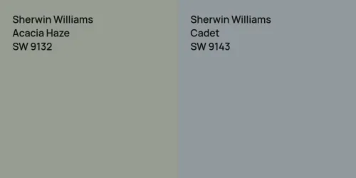 SW 9132 Acacia Haze vs SW 9143 Cadet