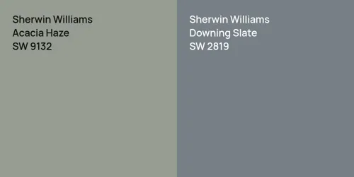 SW 9132 Acacia Haze vs SW 2819 Downing Slate