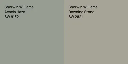 SW 9132 Acacia Haze vs SW 2821 Downing Stone