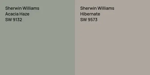 SW 9132 Acacia Haze vs SW 9573 Hibernate