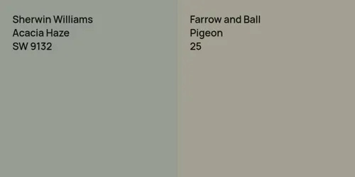 SW 9132 Acacia Haze vs 25 Pigeon